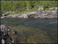 Bifogad bild: norge2010augusti774.jpg